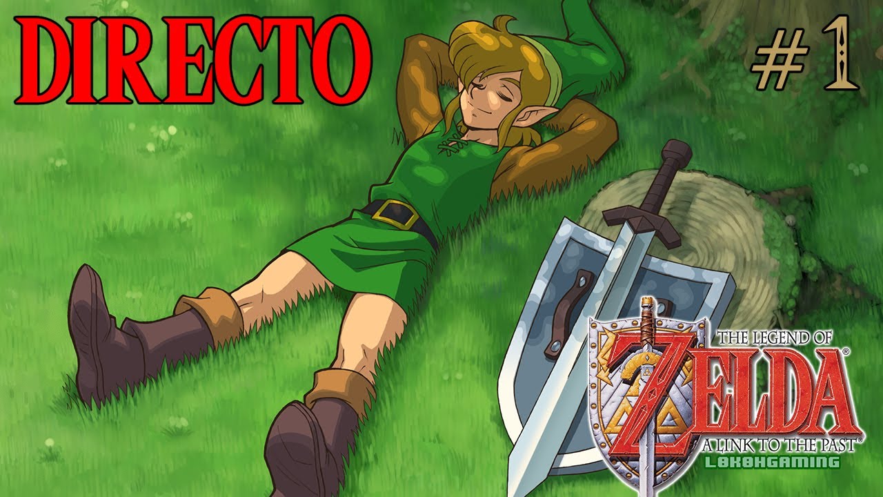 link reposando en los campos de hyrule